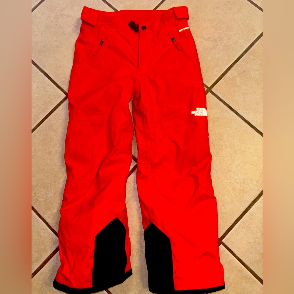 The North Face Insulated Snow Pants